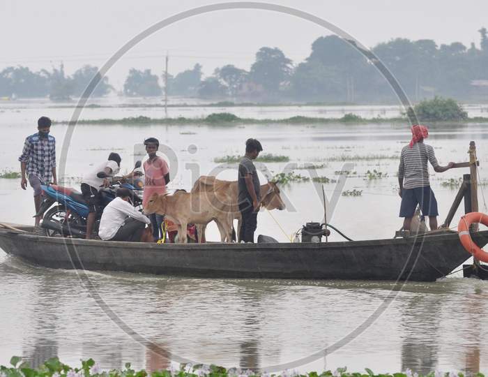 Villagers Along With Their Cattle Move Across A Flood Affected Area On A Boat, In Morigaon District In The Northeastern State Of Assam on July 26,2020.