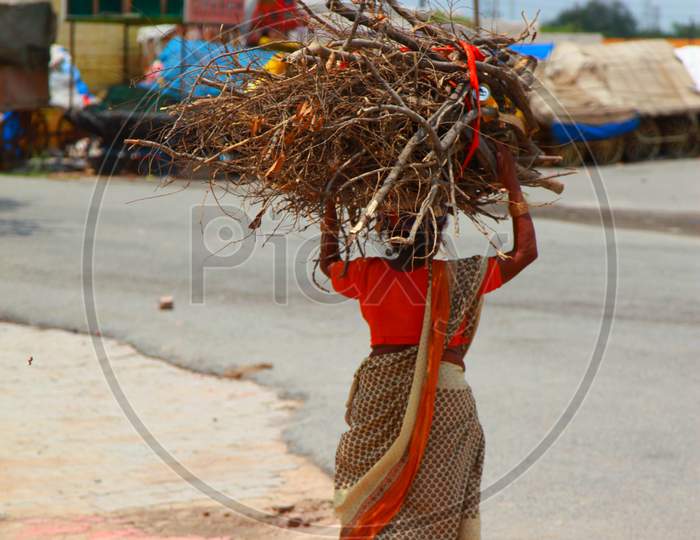 An Indian woman collecting fuel for the family during the Corona epidemic
