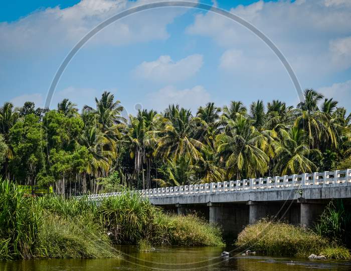 Bridge over a river near coconut plantation