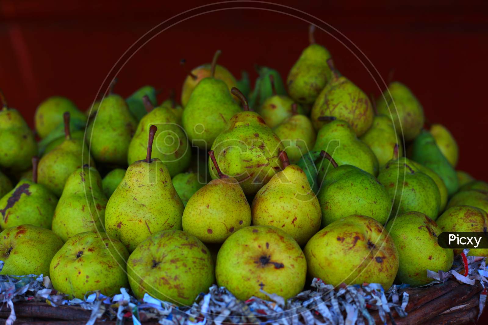 One of the tasty fruits pear