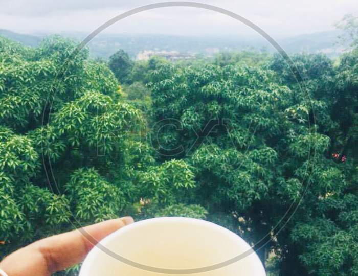 tea with view , holding cup with beautiful view , peace , vacation, lady holding cup in balcony , hands holding cup of coffee with beautiful