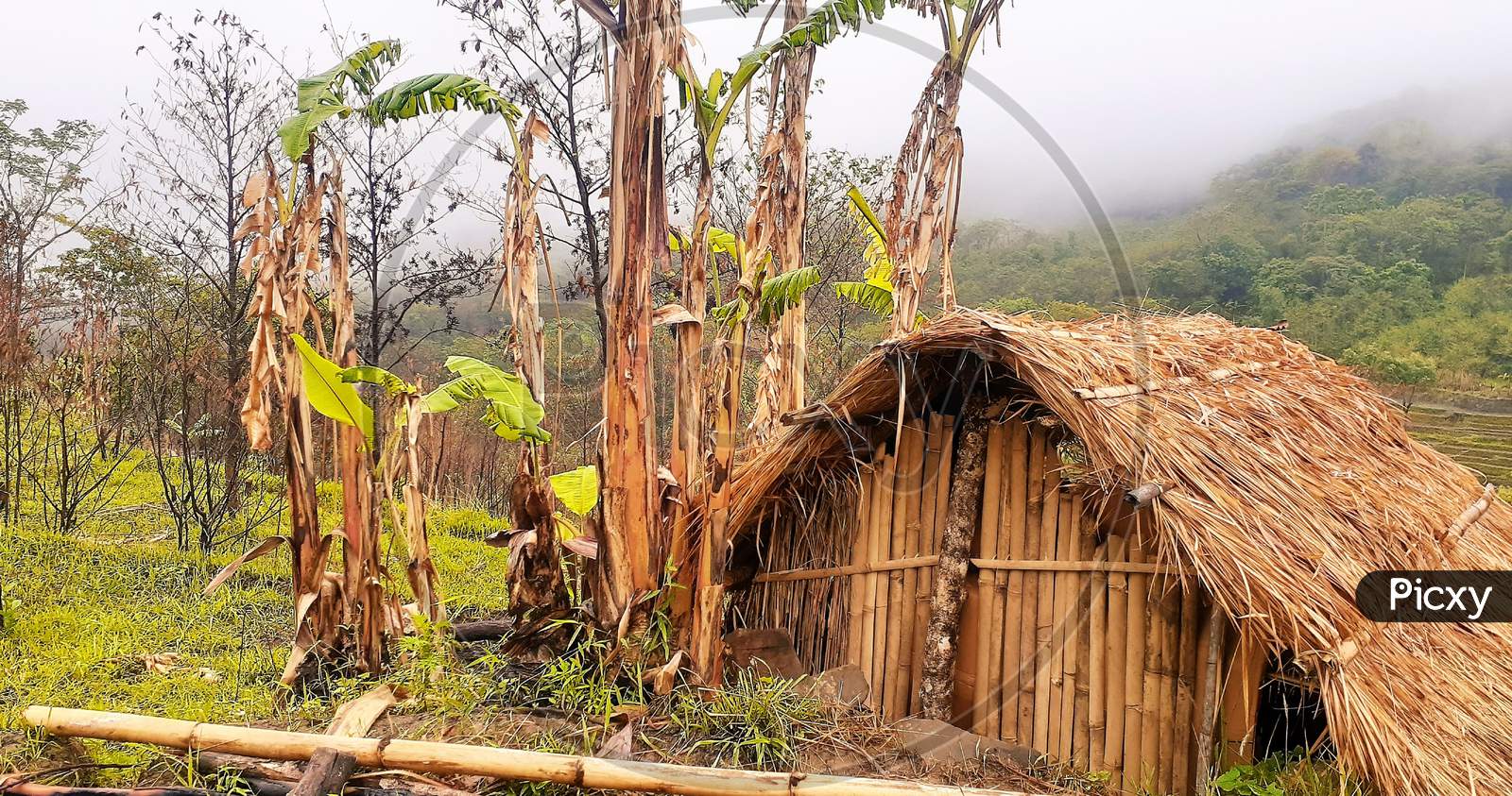 beautiful village traditional hut