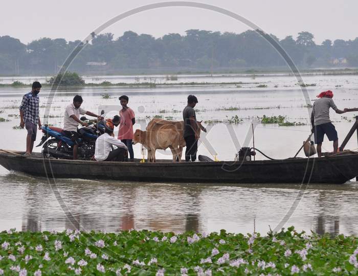 Villagers Along With Their Cattle Move Across A Flood Affected Area On A Boat, In Morigaon District In The Northeastern State Of Assam on July 26,2020.