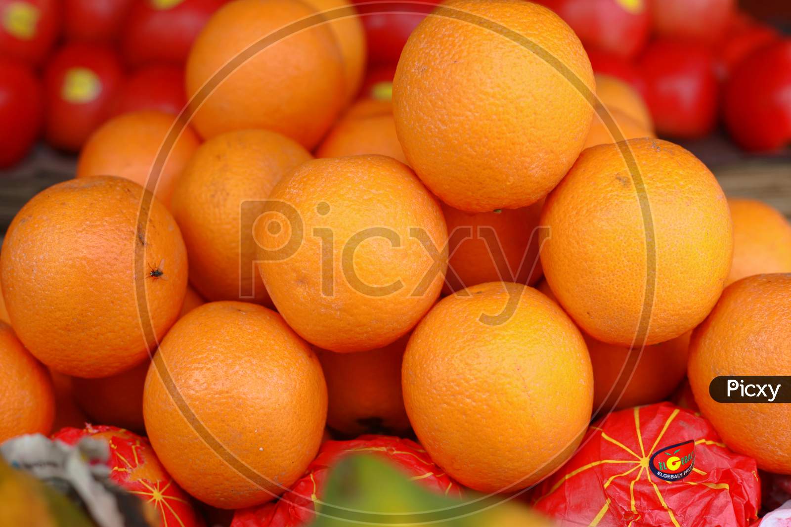 Fully healthy and juicy vitamins fruit orange