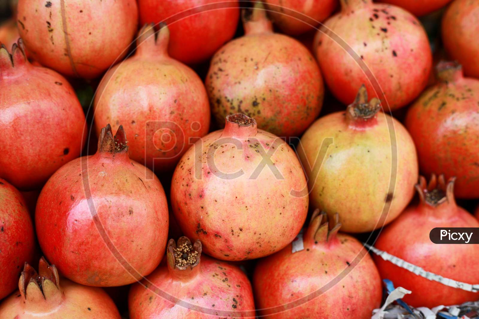 Pomegranate fully juicy fruit