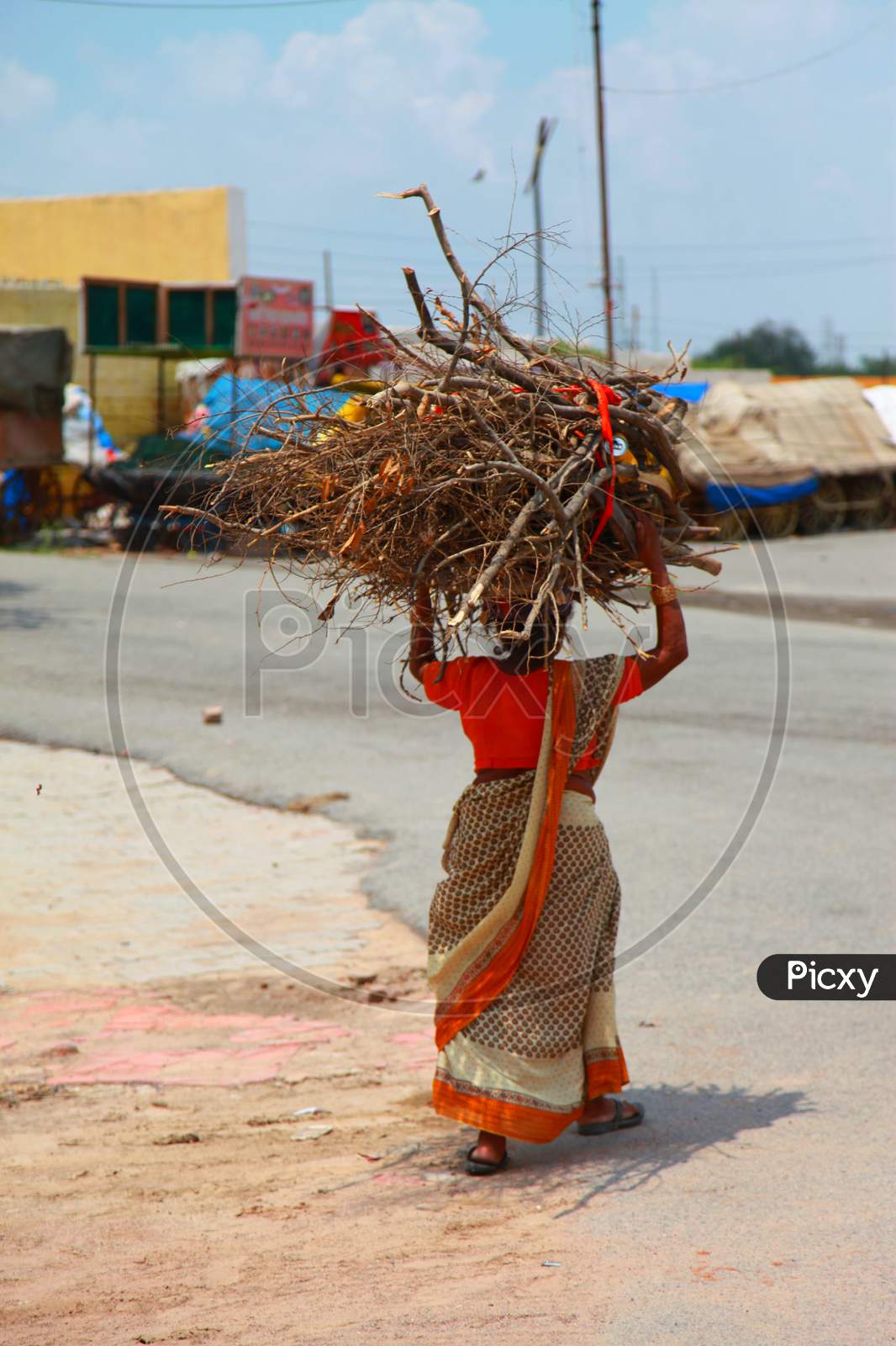 An Indian woman collecting fuel for the family during the Corona epidemic