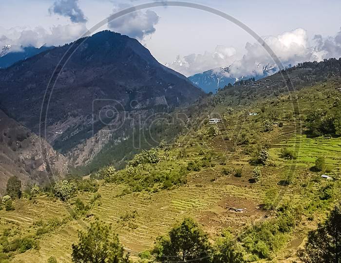 Green mountains of himalayan range