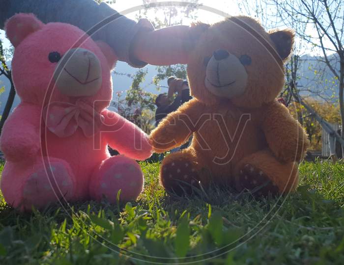 Children Playing With Teddy Bear In A Park. Body Parts Of Kids Seems Playing With Toys. Children Often Express Emotions And Thoughts While Playing With Dolls. Kids World Is Beautiful Greenery Around.