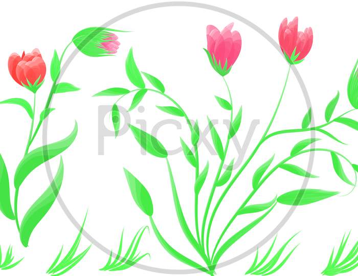 Draw Flowers Vector Image