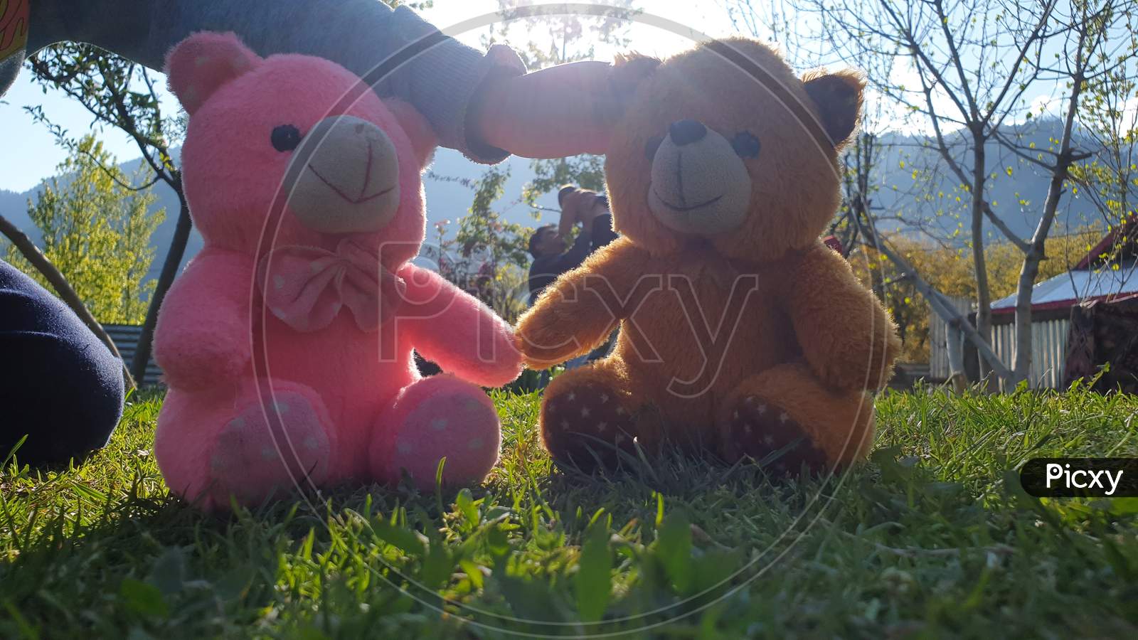 Children Playing With Teddy Bear In A Park. Body Parts Of Kids Seems Playing With Toys. Children Often Express Emotions And Thoughts While Playing With Dolls. Kids World Is Beautiful Greenery Around.
