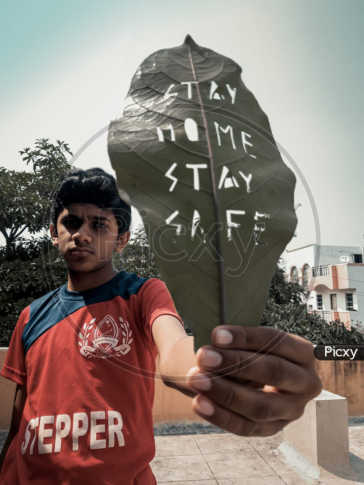 Stay safe stay home quote on leaf