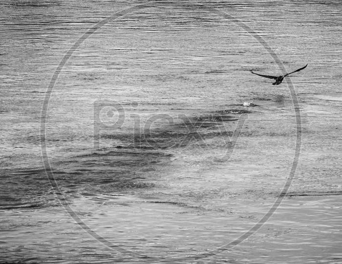 High Angle Shot Of A Bird Flying Over A Lake In A Rainy Weather