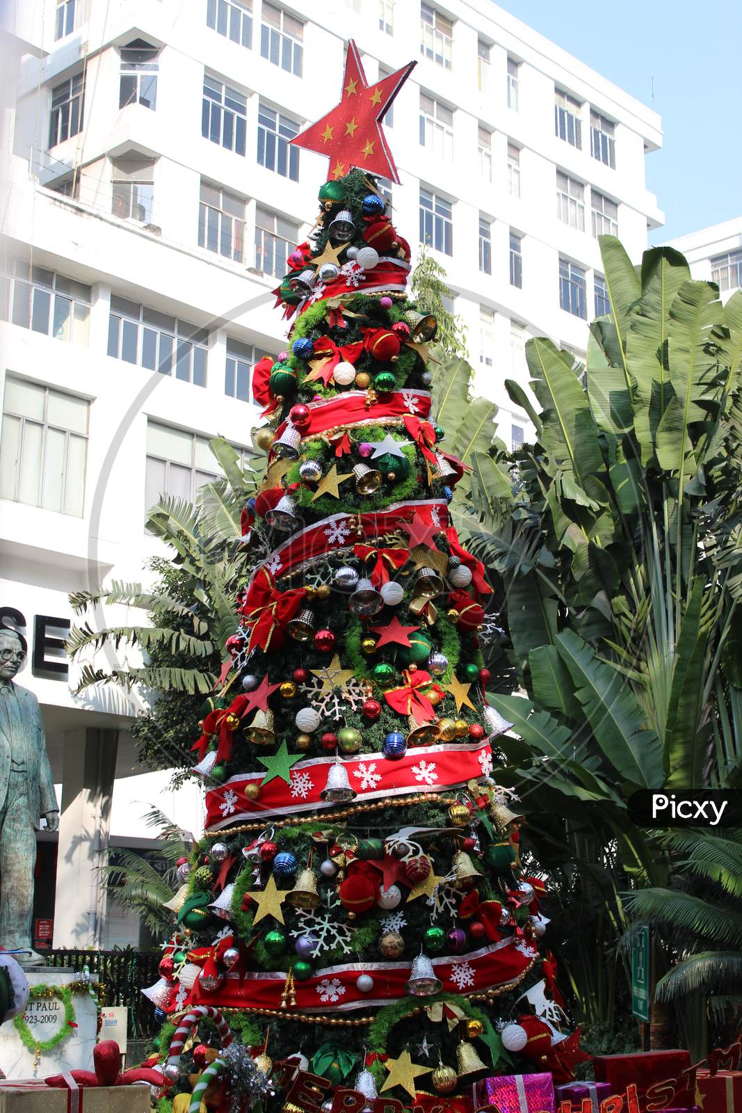 Cropped View of decorated Christmas tree for Christmas decoration at Park Street,  Kolkata.