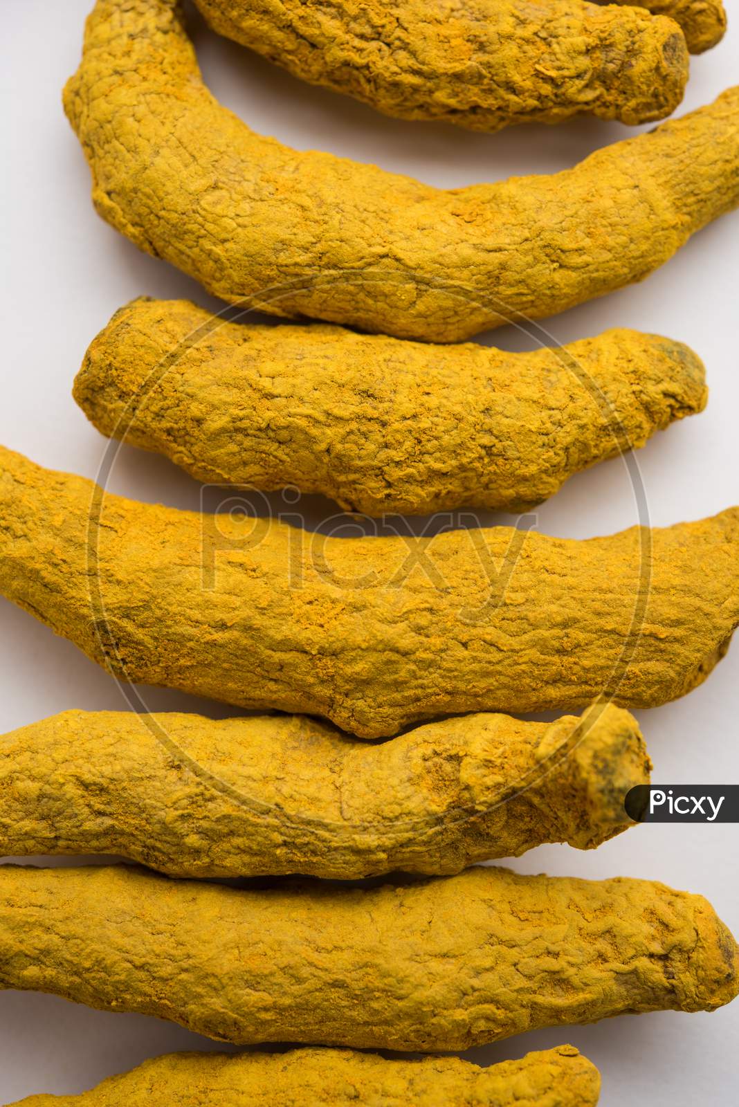 Haldi Or Dried Turmeric Roots As A Whole On White Background