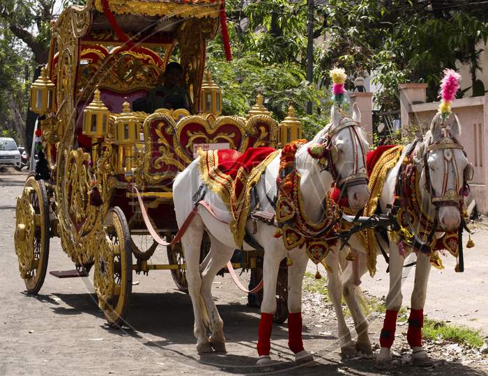 Two horses decked up and hitched to a carriage for a wedding procession.
