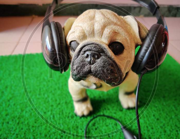 Portrait Of Pug Dog With Black Color Headphone. Dog Listening To Music. Isolated On Green Background.