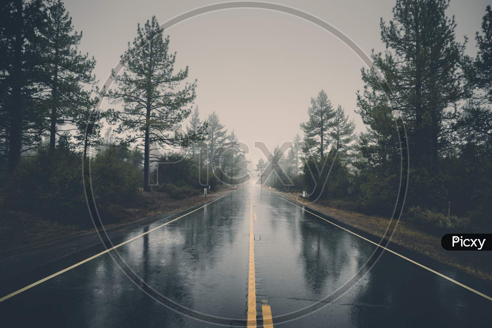 Empty Highway In Rain. Perfect asphalt mountain road in overcast rainy day. Roadway with reflection and trees in fog. Vintage style. Transportation.