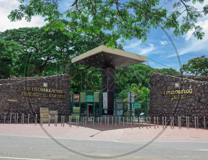 Zoo gardens reopening in Mysore/Karnataka/India.