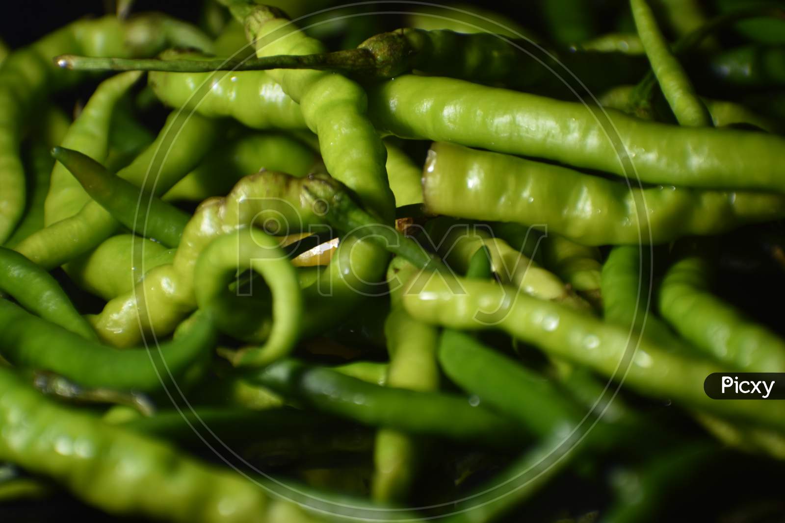 image-of-green-chilli-peppers-in-indian-market-dx904323-picxy