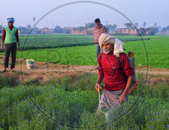 A farm worker spraying fertilizer on crops