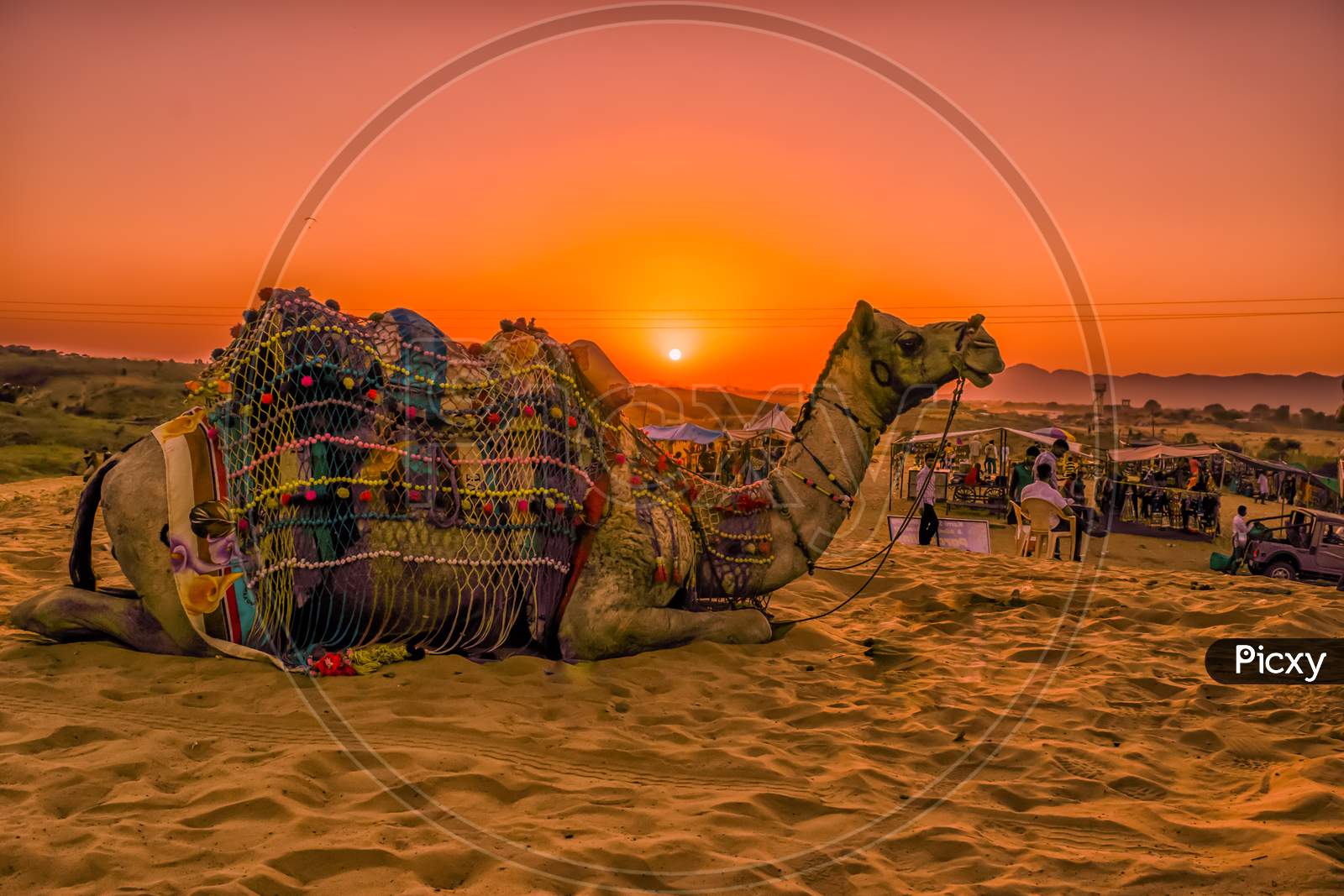 A spectacular sunset in the Thar Desert in Rajasthan, India