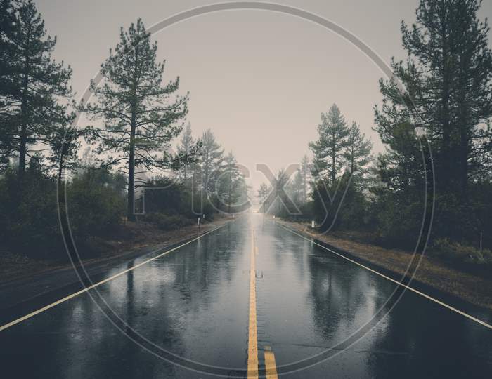 Empty Highway In Rain. Perfect asphalt mountain road in overcast rainy day. Roadway with reflection and trees in fog. Vintage style. Transportation.