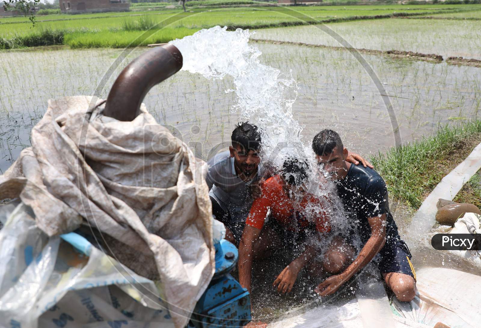 Three young men enjoy the cool splash from a tube well on a hot summer day during Unlock 2.0 in Jammu on July 03, 2020.