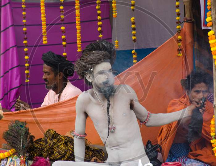portrait of a naga sadhu