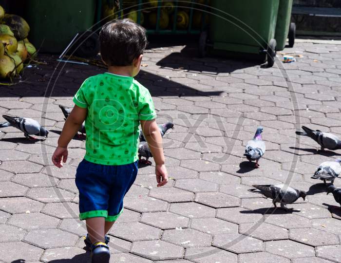 Sweet Little Boy Playing With Pigeon Near Batu Caves Temple In Malaysia, Baby Boy Playing With Pigeons