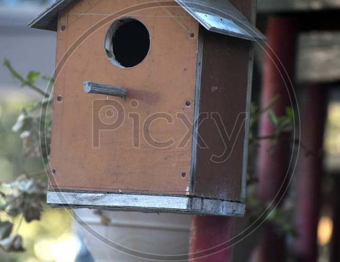 Beautiful Picture Of Bird House