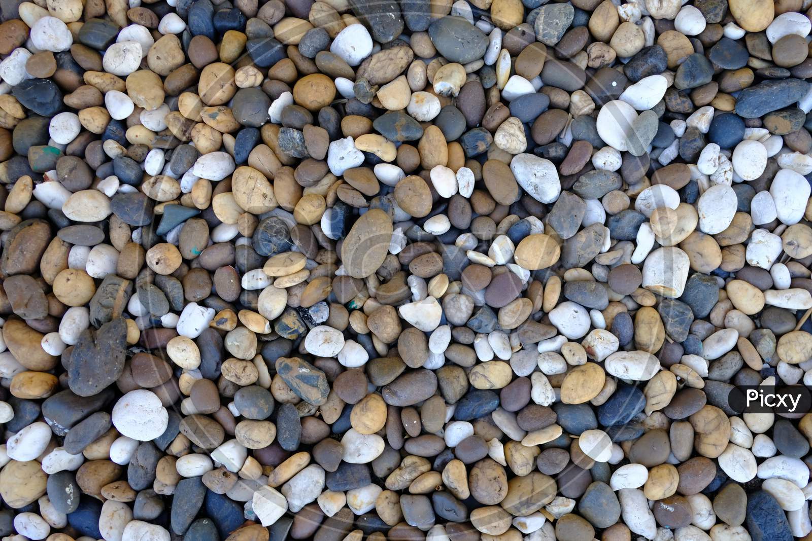 Close Up Natural Pebble Stone Background