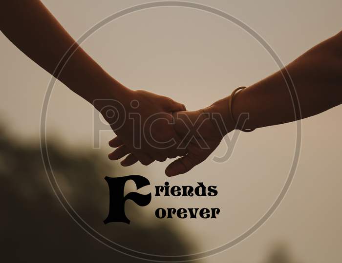 handshake between two friends (Friends Forever)