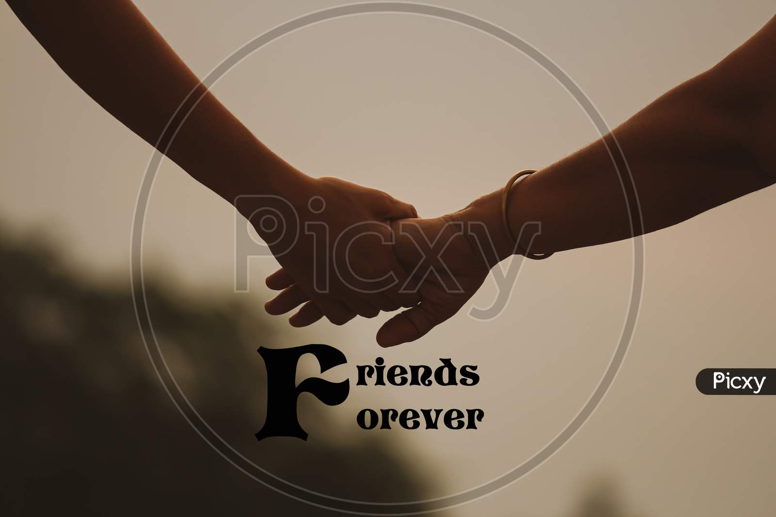 handshake between two friends (Friends Forever)