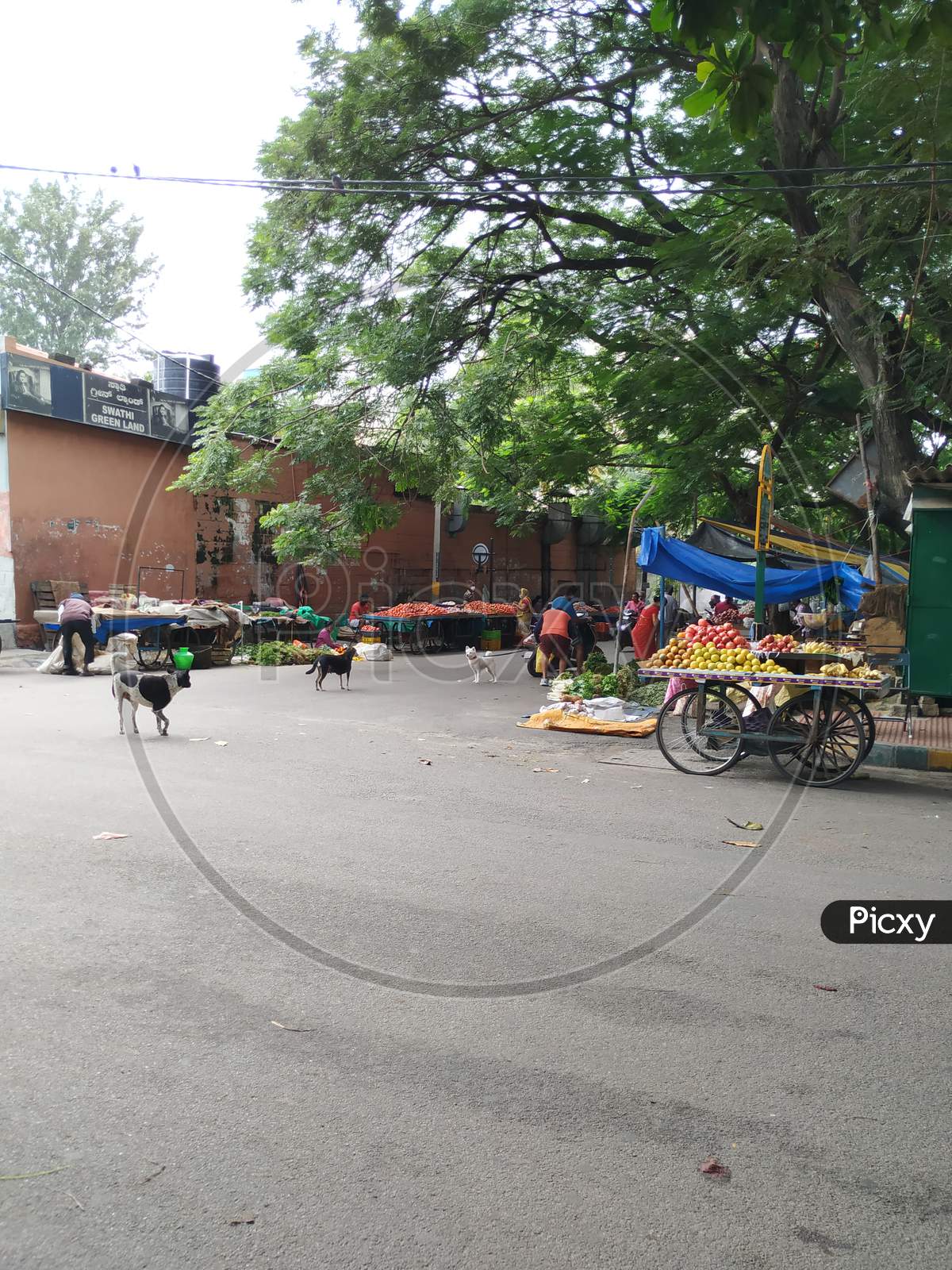 Image of Closeup Of Indian Local Vegetable Market From Roadside. In A