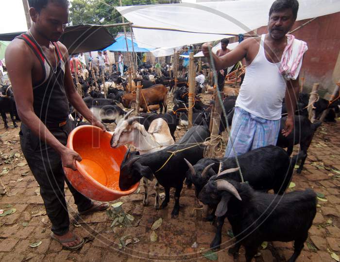 A Trader Gives Water To His Goat As He Waits For Customers At A Livestock Market Ahead Of The Eid Al-Adha Festival In Guwahati On,09 Sep 2016