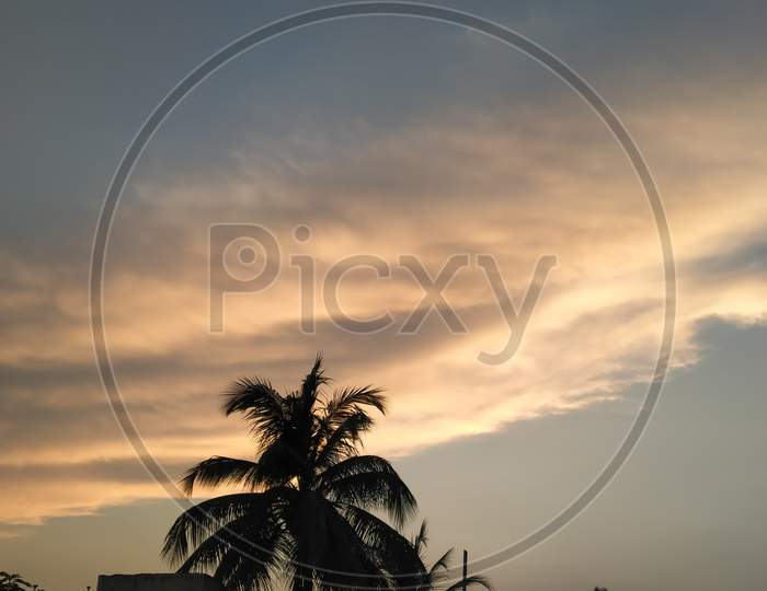 Scene of cloudy weather in sunset with coconut tree