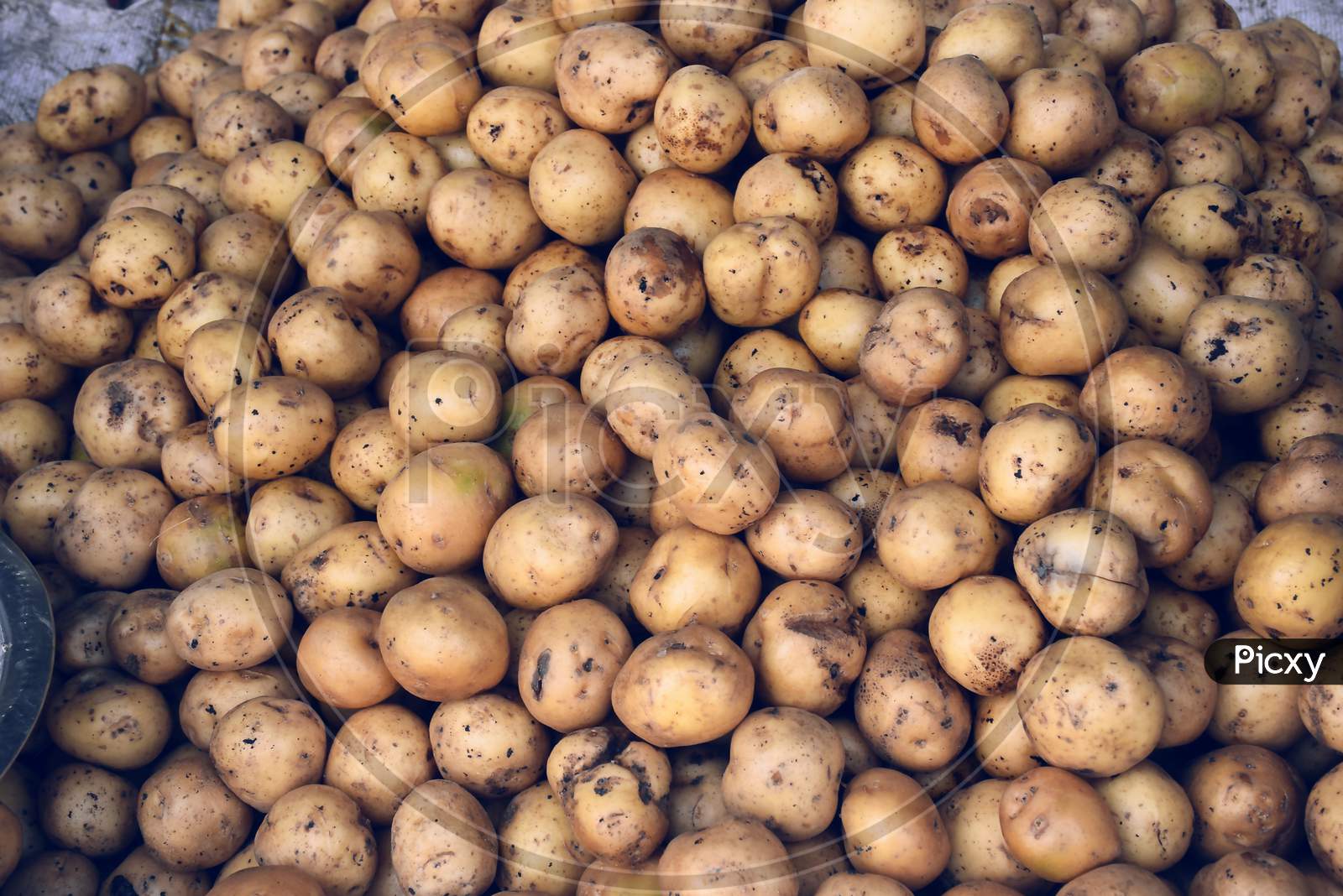Pile Of Fresh Potatoes. Potatoes Background, In Indian Market.