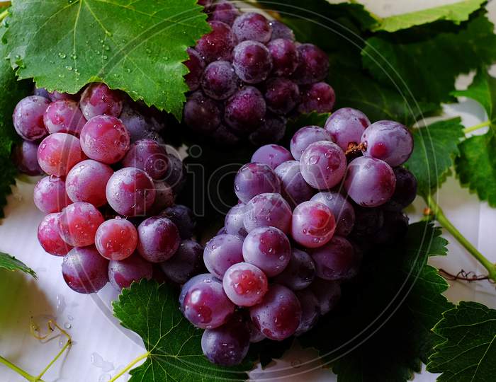 Close Up Shot of Grape Fruits.
