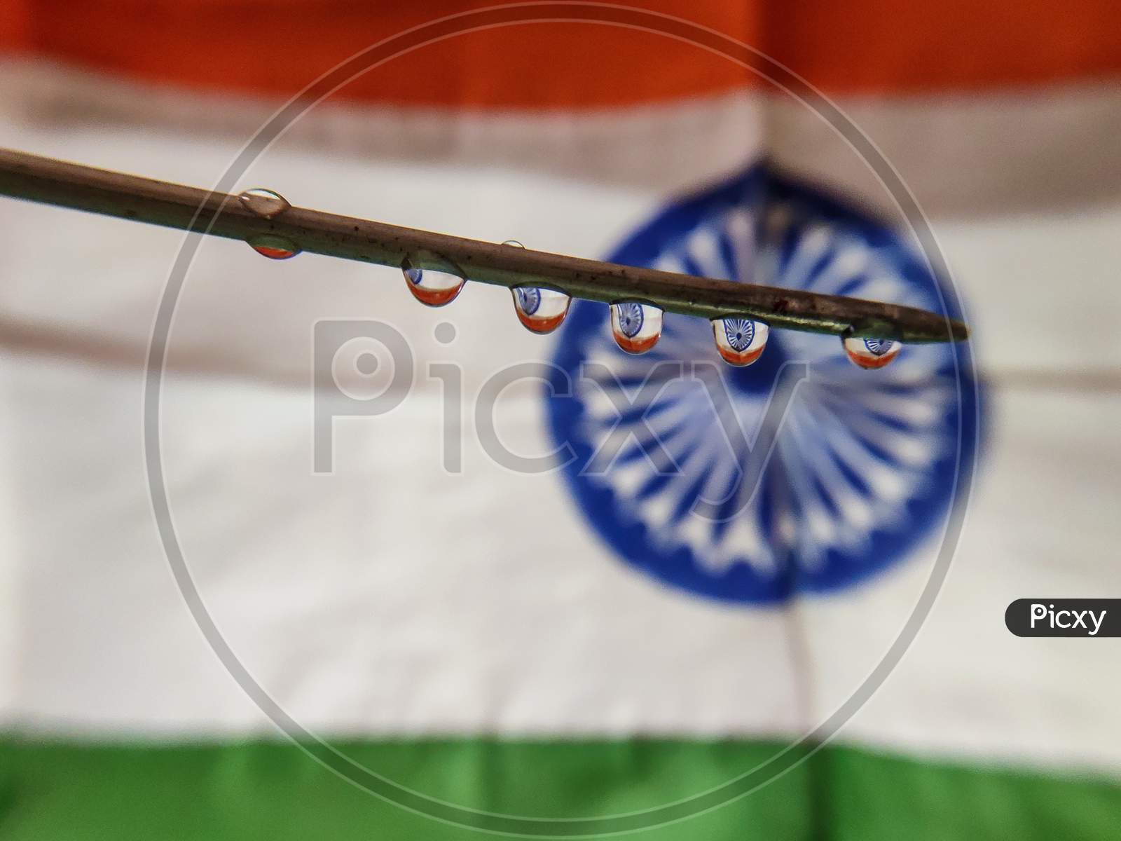 Indian flag in waterdroplets under stick