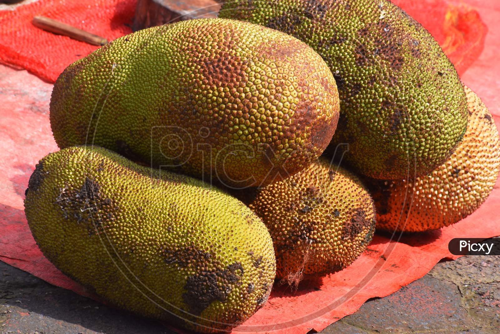 Jack-Fruit That Is Beautifully Arranged On Red Plastic. Jack-Fruit Or Genus Is Tropical Fruit That Has A Sweet And Very Fragrant Flavor.