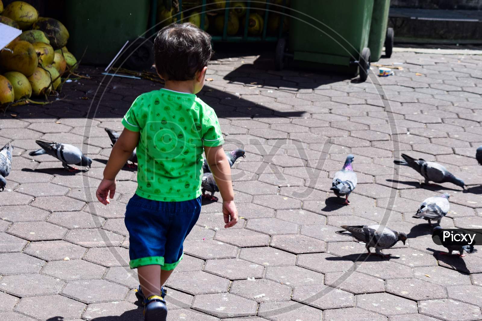 Sweet Little Boy Playing With Pigeon Near Batu Caves Temple In Malaysia, Baby Boy Playing With Pigeons