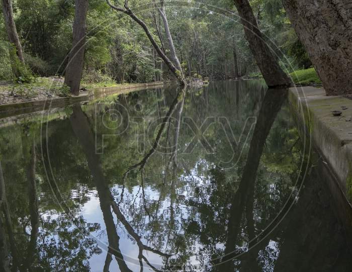Reflection Of Trees In Water