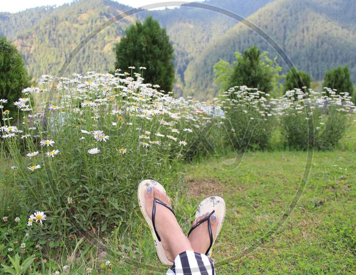relaxing and enjoying in the green meadows of Bhaderwah