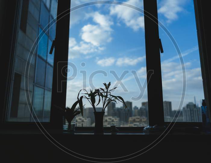 Small Plants To Decorate The Apartment Window. A Simple But Calm View. Seen From The Angel Below With A Little Silhouette With Lighting That Will Darken Slowly.