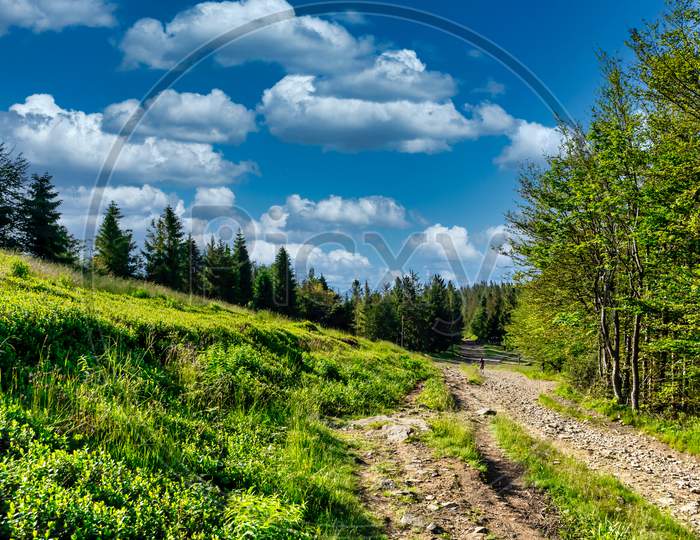 Bielsko Biala, South Poland: Wide Angle Shot Of Hiking Track In The Scenic Mountain Through Green Forest Against Dramatic Clouds