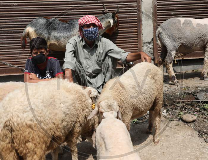 A sheep vendor waits for customers ahead of Eid-al-Adha festival, at a roadside in Jammu on July 31, 2020