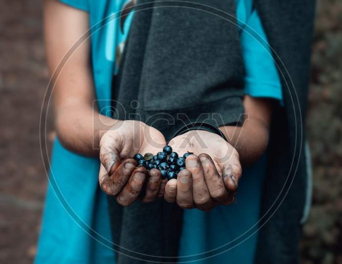 Blueberries kept in hands