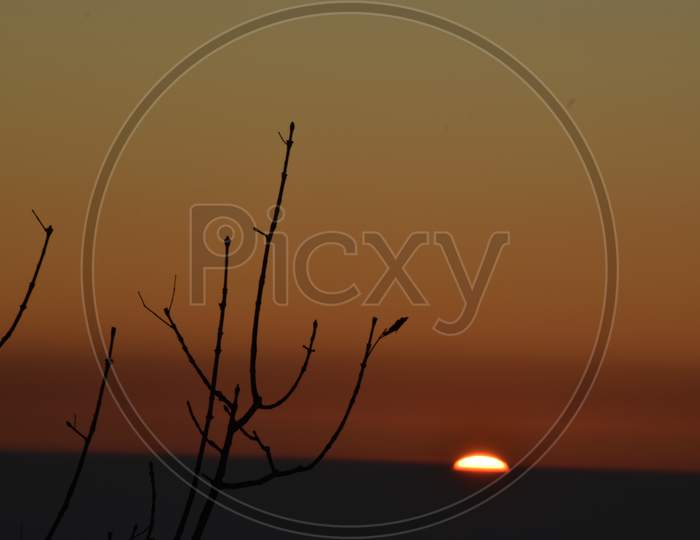 Beautiful Picture Of Tree Branches And Sunset In Uttarakhand India