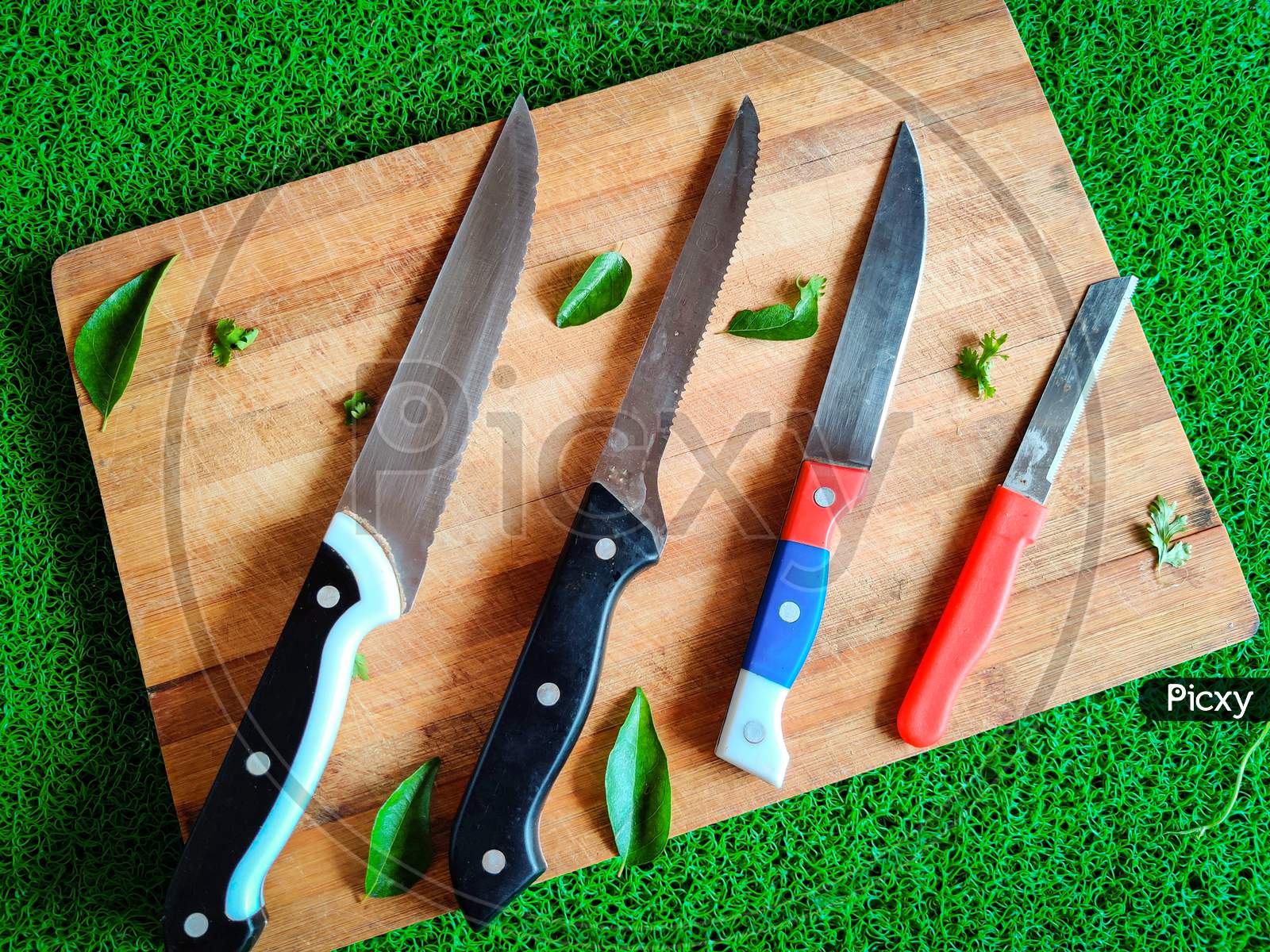 Four Colored Different Sizes Of Knives Kept On Chopping Board. With Curry Leaves And Coriander Leaves Spread Around