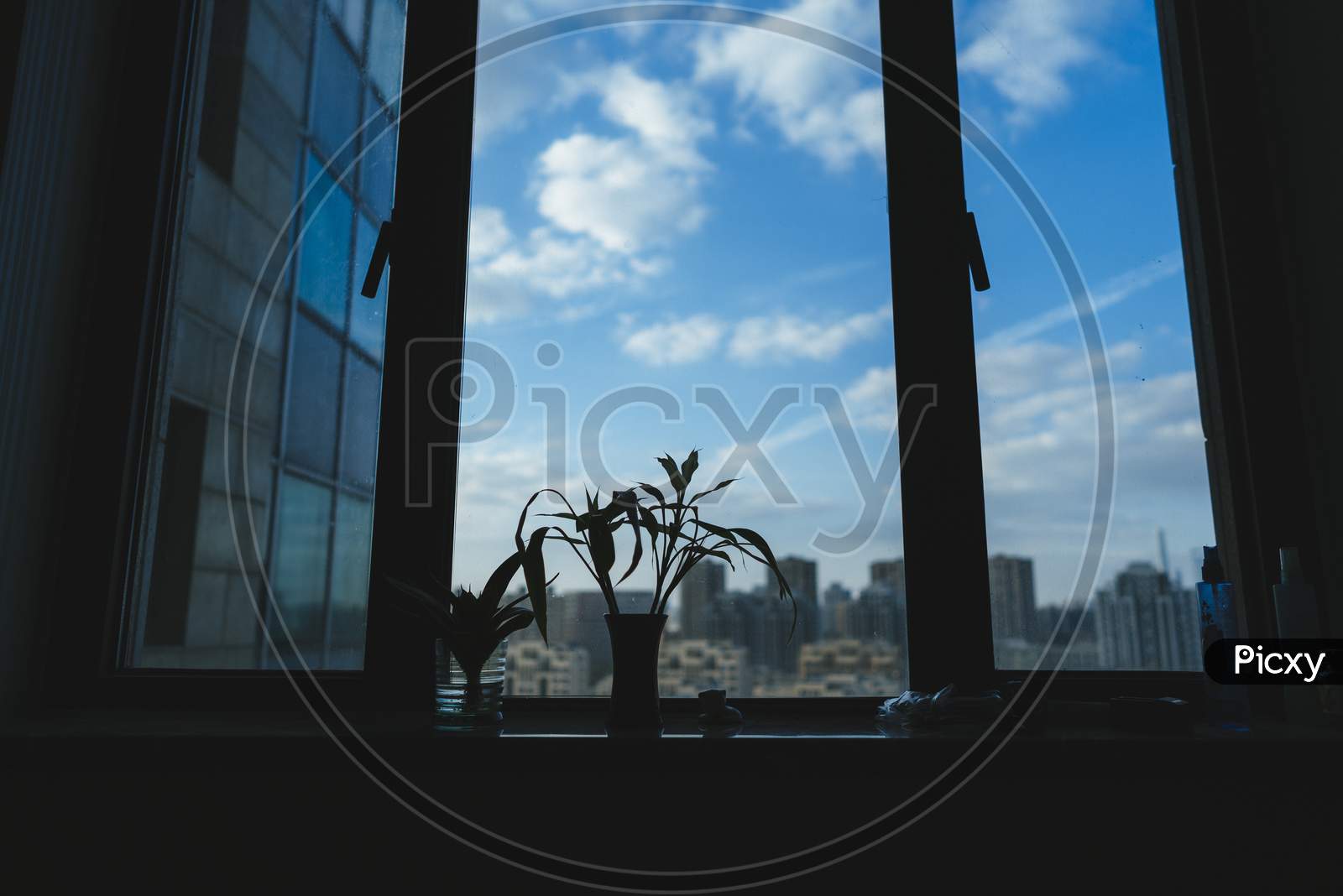 Small Plants To Decorate The Apartment Window. A Simple But Calm View. Seen From The Angel Below With A Little Silhouette With Lighting That Will Darken Slowly.